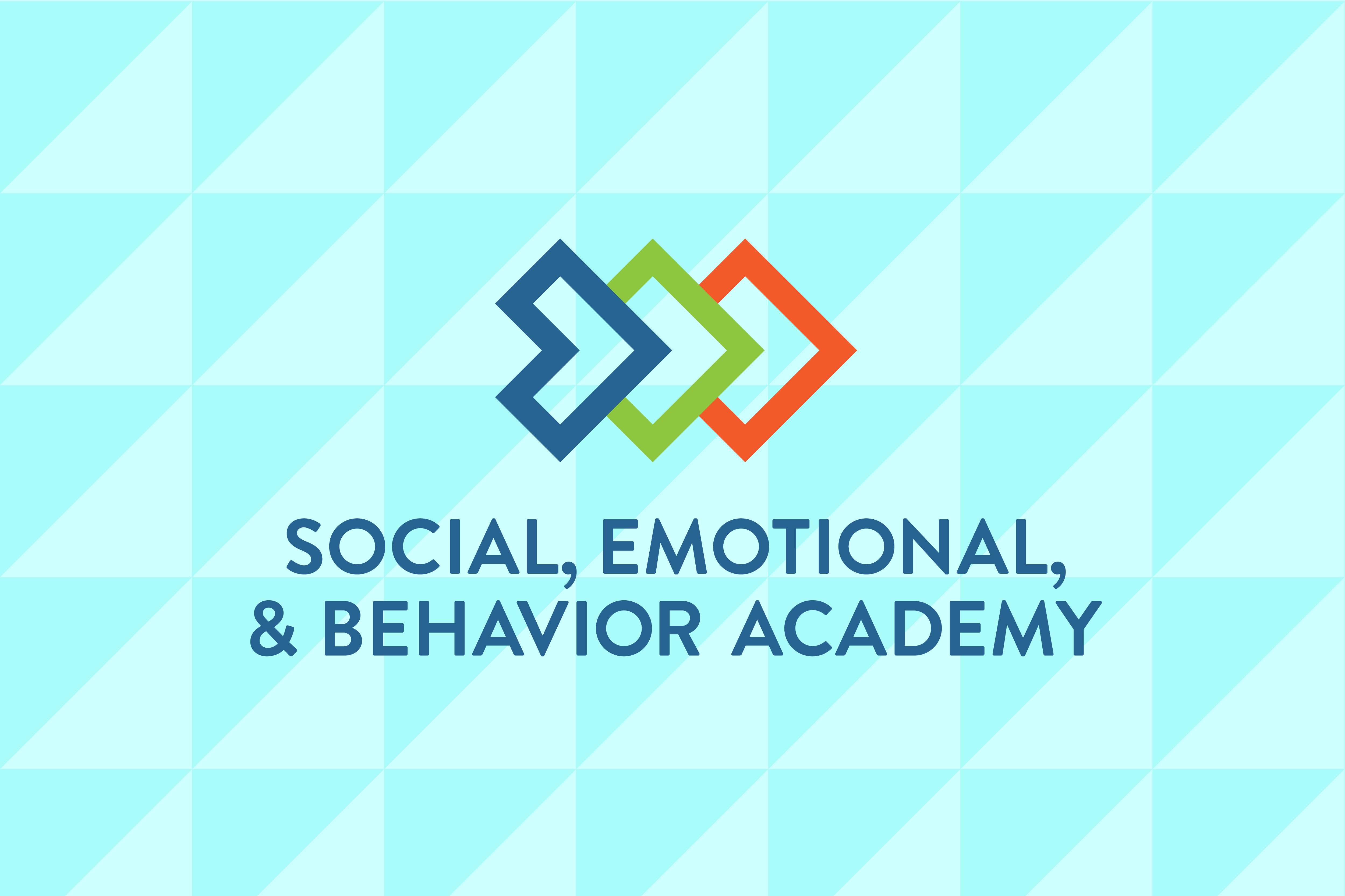 Social, Emotional & Behavior Academy